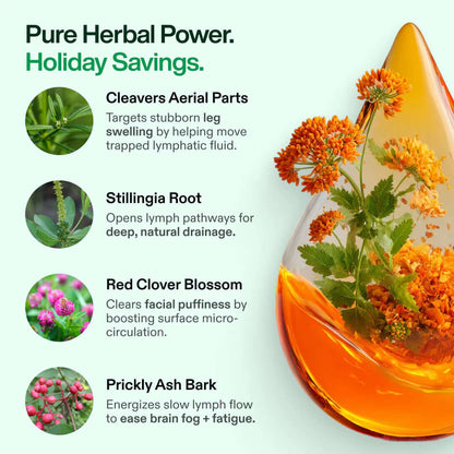 Lymphatic Drainage Wellness Drops