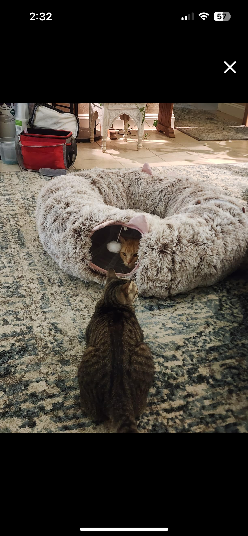 <h2>Loved by everyone, everywhere. Don't miss out.</h2>