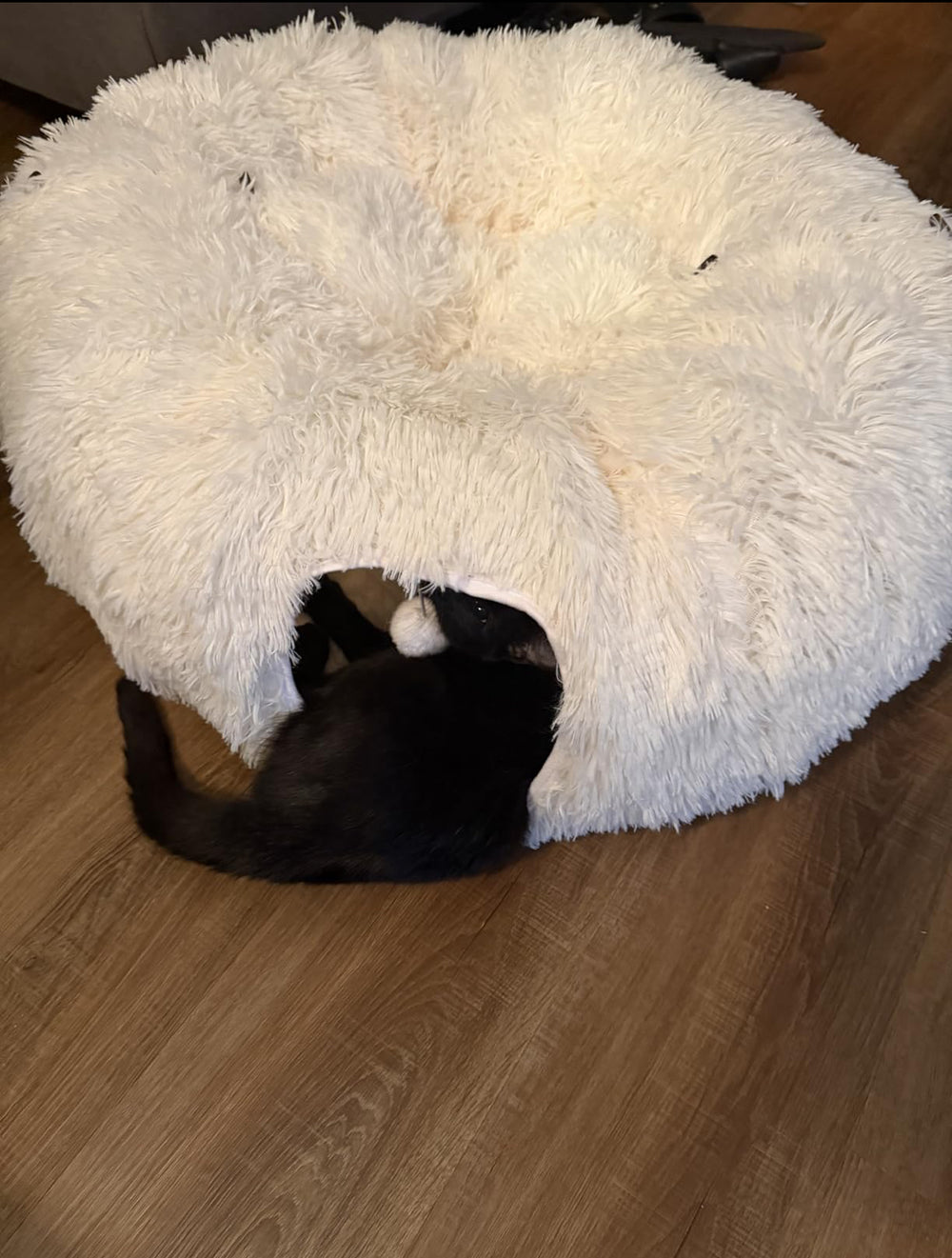 <h2>Loved by everyone, everywhere. Don't miss out.</h2>