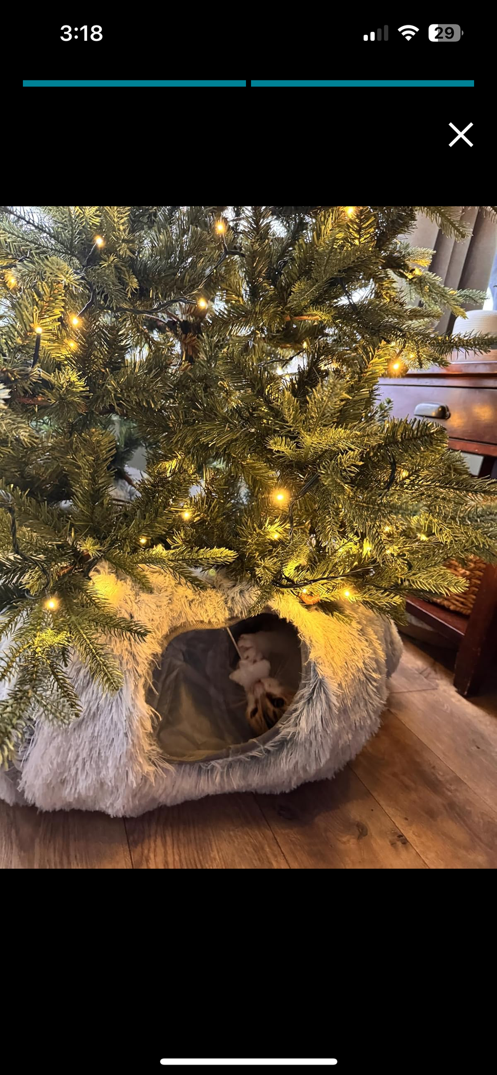 <h2>Loved by everyone, everywhere. Don't miss out.</h2>