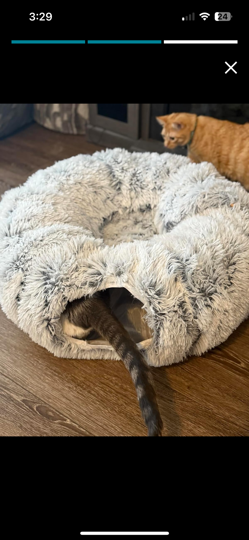 <h2>Loved by everyone, everywhere. Don't miss out.</h2>