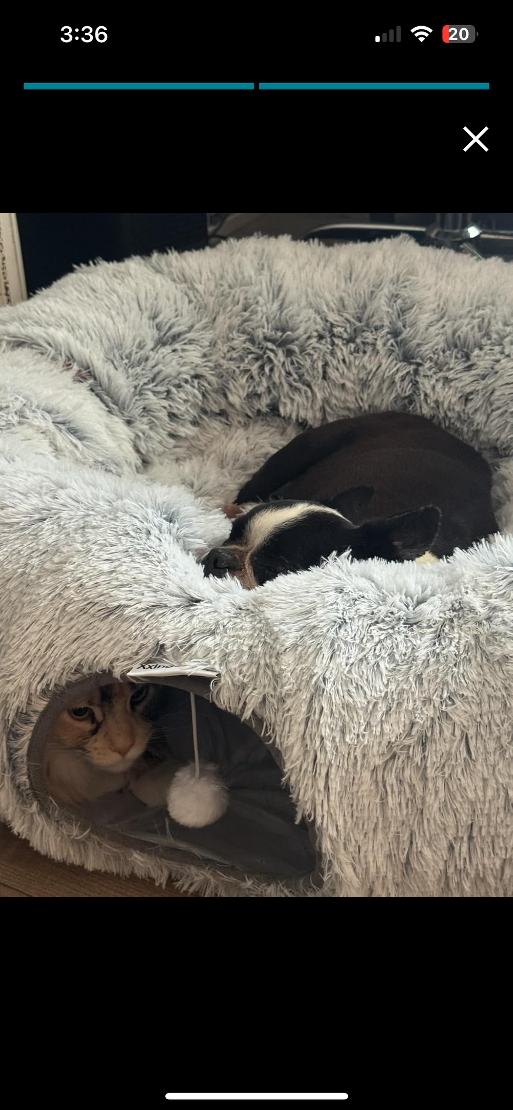 <h2>Loved by everyone, everywhere. Don't miss out.</h2>